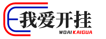关于支付不了的问题 或者遇到账户异常的问题-辅助网