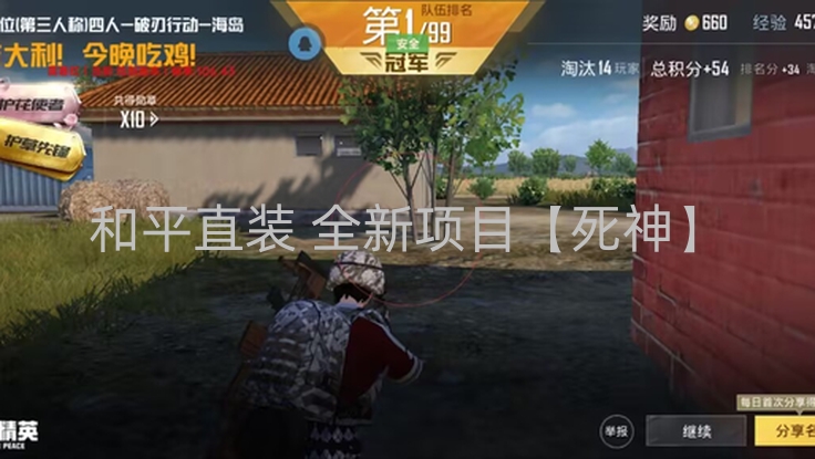 和平直装 全新项目【死神】